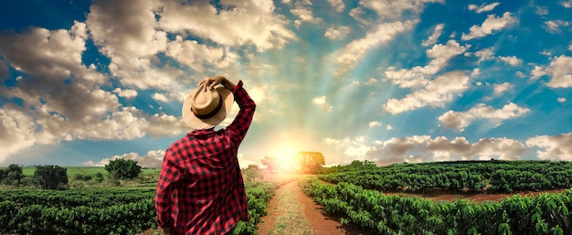 Foto fazendeiro trabalhando no campo de café ao pôr do sol ao ar livre