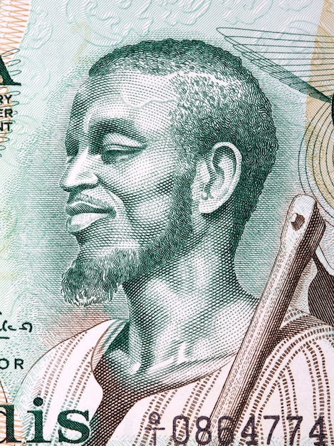 Fazendeiro, um retrato do dinheiro ganense