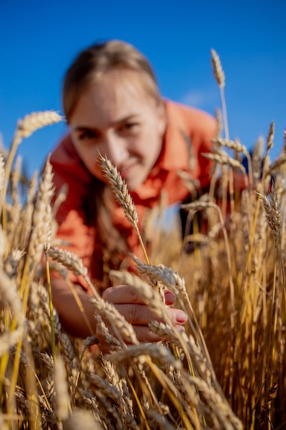 Fazendeiro verificando o progresso do campo de trigo. inspetor agrônomo que examina plantação de trigo