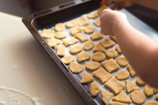 Fazendo biscoitos em casa, duas meninas cozinhando juntas usando lasca de modelagem