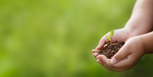 Fazendo CSR plantando árvores, conceito de CSR e negócios de plantio de mudas de árvores.