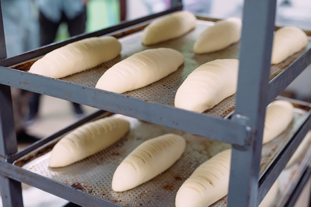 Fazer um delicioso pão na padaria.