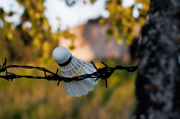 Feather Sunset Federball für Badminton im Sommer im Freien