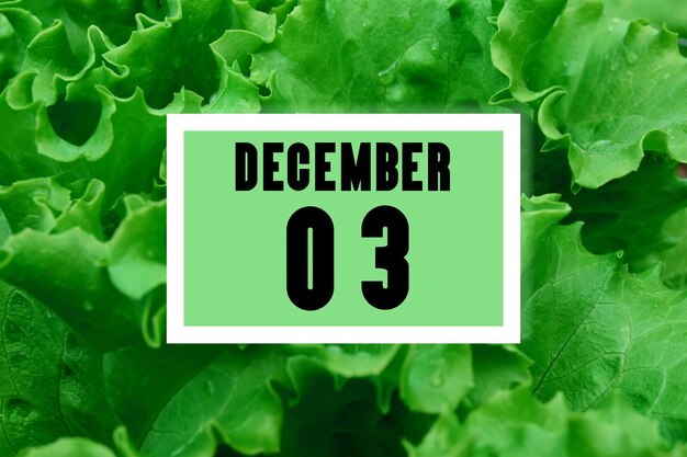 Fecha de calendario en fecha de calendario en el fondo de hojas de lechuga verde 3 de diciembre es el tercer día del mes