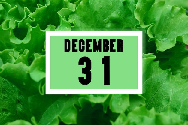 Fecha de calendario en fecha de calendario en el fondo de hojas de lechuga verde 31 de diciembre es el trigésimo primer día del mes