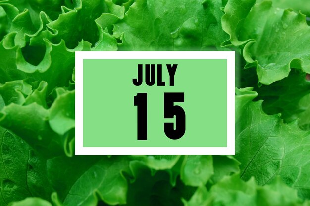 Foto fecha del calendario en el fondo de la fecha del calendario de hojas de lechuga verde 15 de julio mes del decimoquinto día