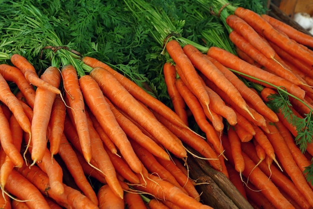 Fechar a pilha de nova colheita de cenoura fresca