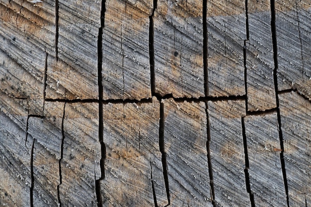 Fechar a textura de madeira com material de placa de fibras naturais para construção