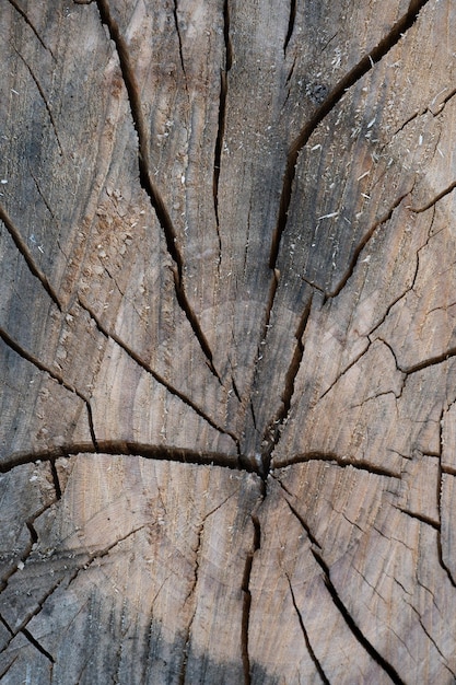 Fechar a textura de madeira com material de placa de fibras naturais para construção