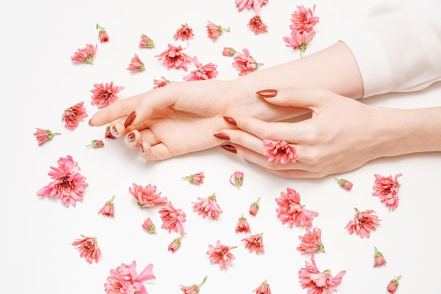 Fechar belas mãos femininas sofisticadas com flores cor de rosa em branco