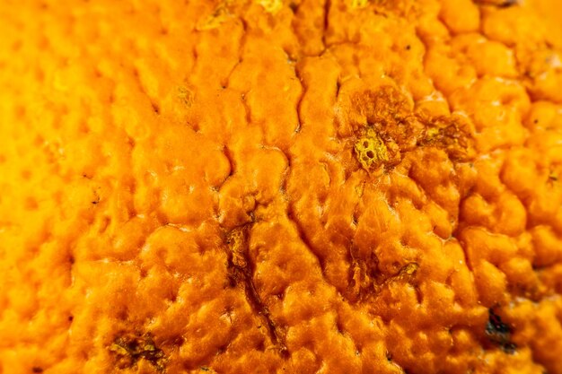 Feche a foto da textura da casca de laranja Laranjas frutas maduras fundo visão macro xAHuman conceito de problema de pele acne e celulite