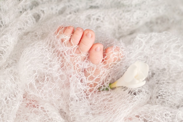 Feche a foto dos pés do bebê recém-nascido em uma manta de malha e flores