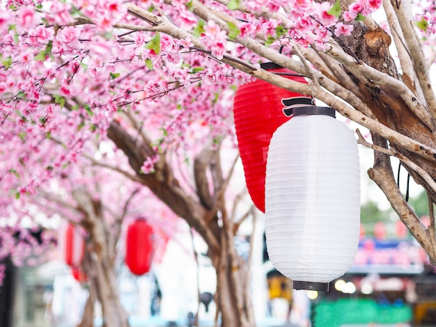 Feche a lanterna de papel pendurada sob o telhado no jardim com fundo rosa de flores de sakura. decoração de ano novo chinês no parque.