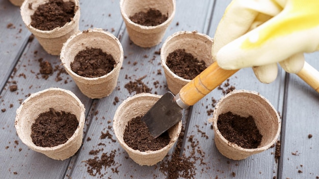 Feche a mão na luva amarela plantando uma semente em vasos de turfa biodegradáveis ecologicamente corretos