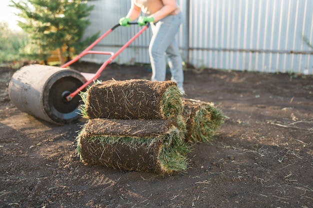 Feche a mulher colocando grama para o novo conceito de colocação de gramado de jardim
