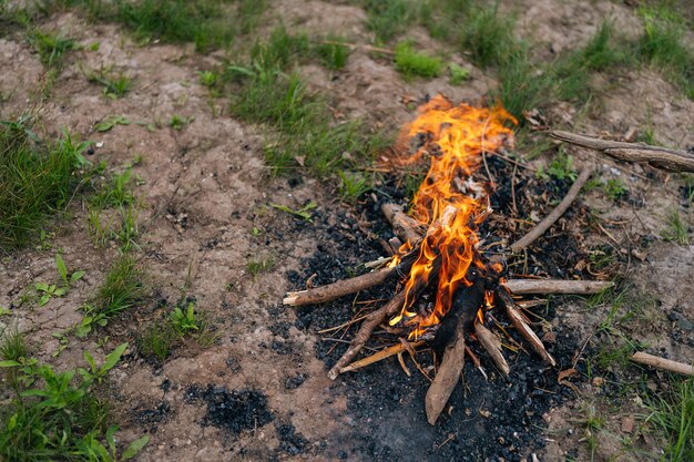 Feche a vista de alto ângulo da fogueira de lenha no chão da floresta Closeup chama amarela queimando na fogueira Fogo de acampamento em dia nublado ao ar livre