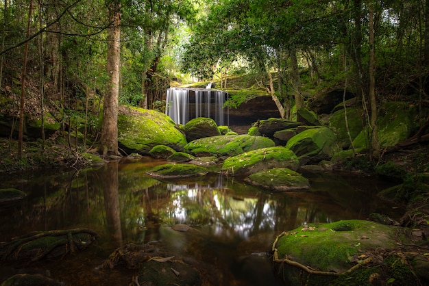 Feche acima da cachoeira da vista na floresta profunda no parque nacional, cena do rio da cachoeira.