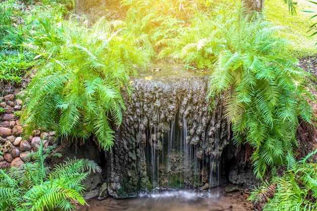 Foto feche acima da cachoeira pequena no jardim