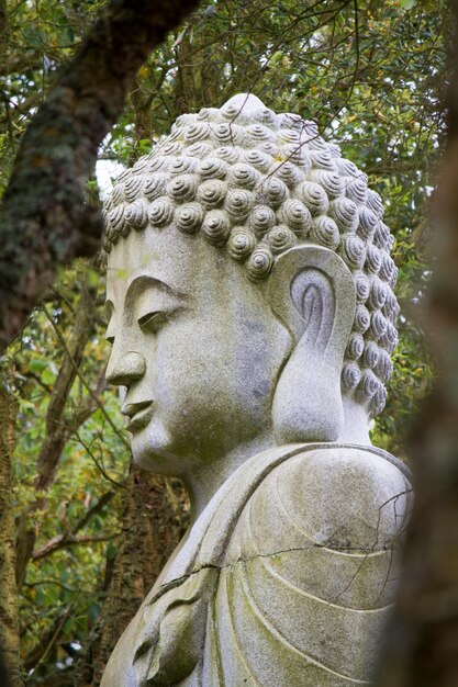 Feche acima da vista de uma estátua bonita de buddha em um parque.