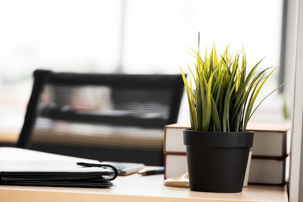 Feche acima das plantas da casa no potenciômetro, na caixa e nos originais de flor na mesa de escritório.