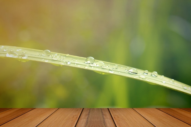 Feche acima de gotas de água na folha verde com a natureza no seaso chuvoso