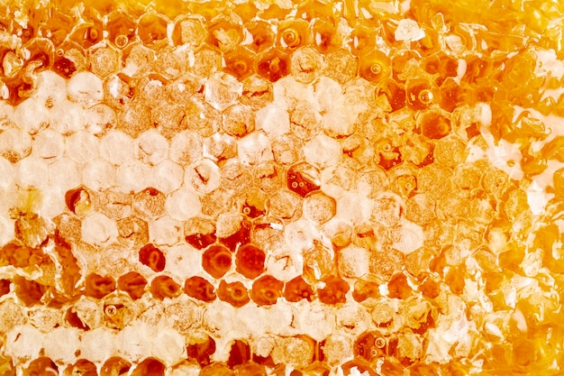 Foto feche acima do favo de mel dourado