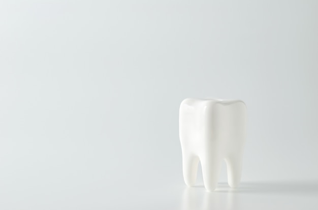 Feche acima do modelo dental do dente branco no fundo branco