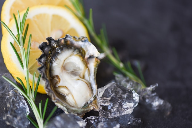 Feche acima do shell de ostra aberto com erva especiarias limão alecrim servido mesa e gelo saudável mar alimentos cru jantar de ostra no restaurante gourmet comida. frutos do mar frescos ostras na chapa preta