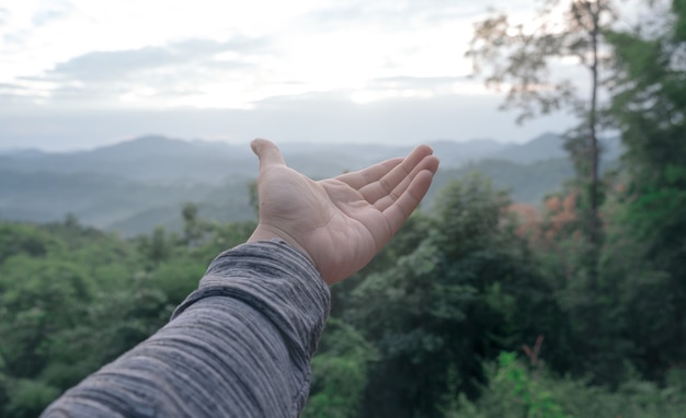 Foto feche as mãos estendidas para receber luz natural