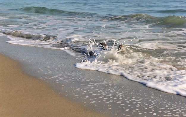 Feche as ondulações do mar quebrando na areia molhada