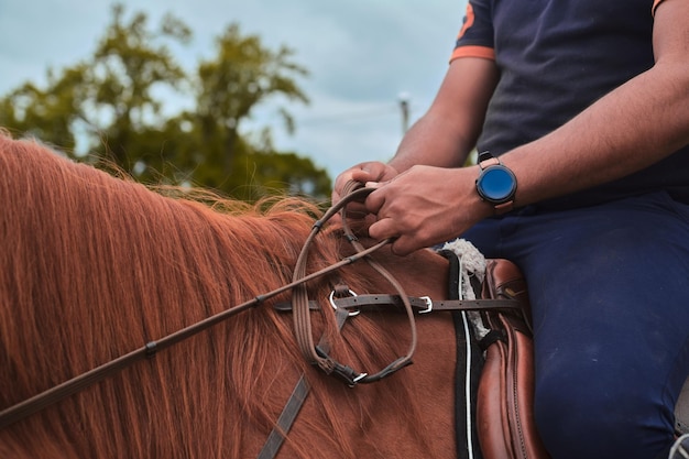 Feche as rédeas do cavalo com um cavaleiro nele