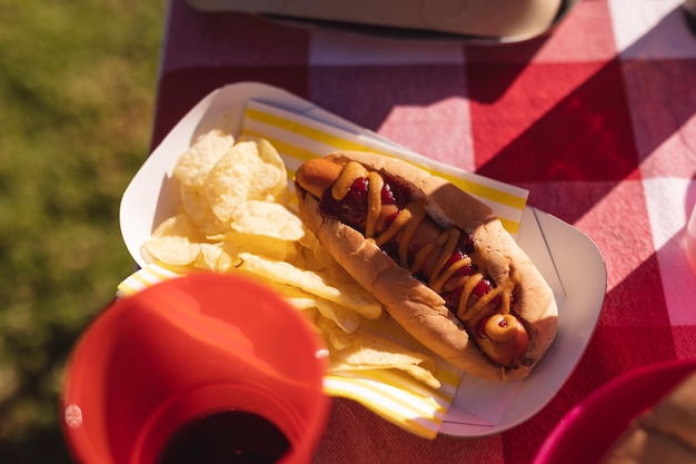 Foto feche de batatas fritas e saboroso cachorro-quente com ketchup e mostarda na mesa. sair e relaxar ao ar livre no verão.