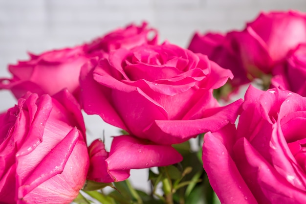 Foto feche de lindo buquê de rosas.