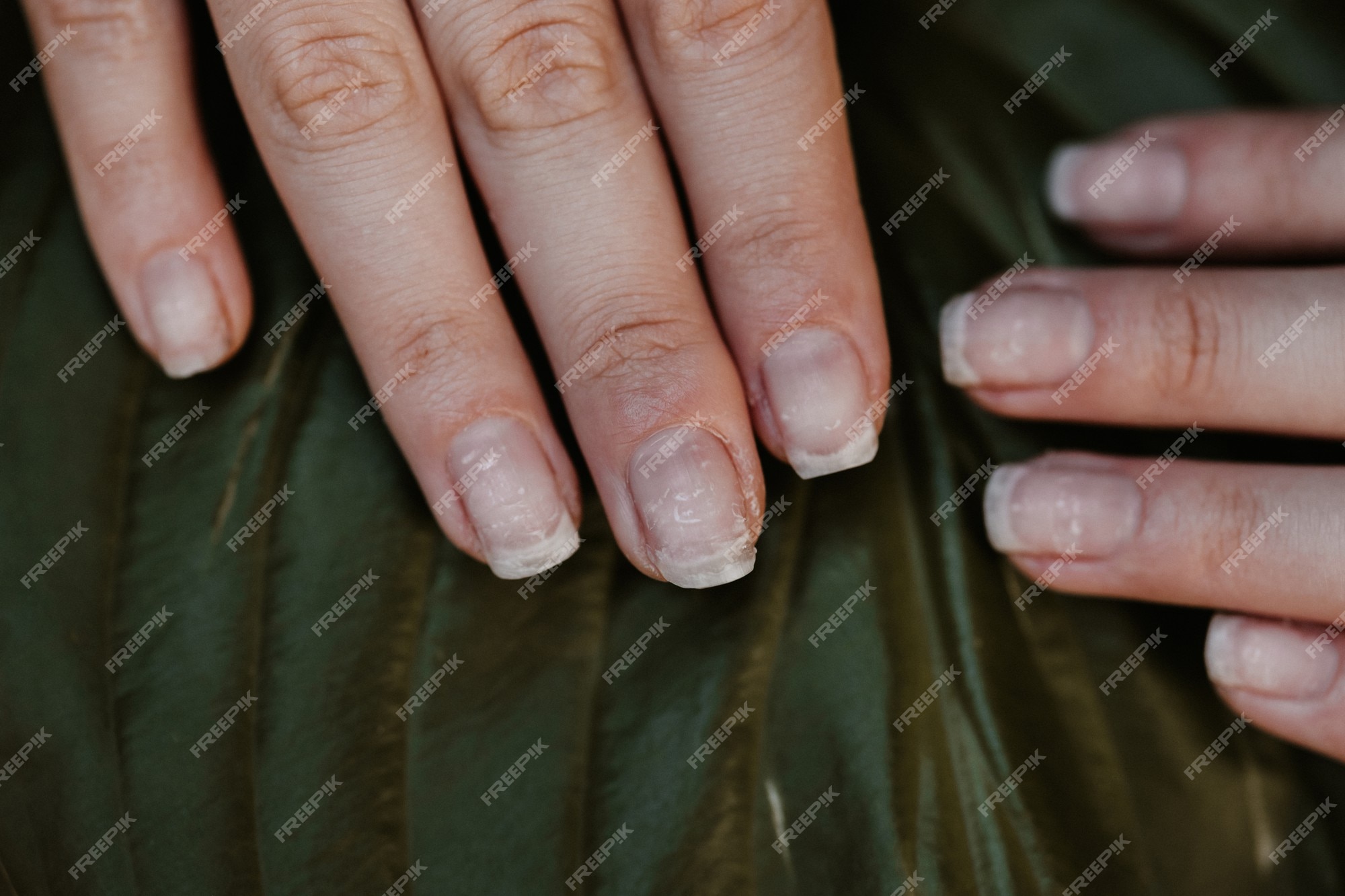 Mestrado Em Manicura Trabalhando Com Cliente Feminino No Salão De Beleza.  Manicurista Faz Prego De Mulher Foto de Stock - Imagem de fêmea,  funcionamento: 275802166