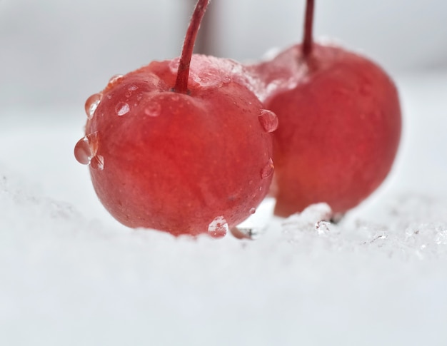 Feche em duas cerejas vermelhas cobertas com gota na neve