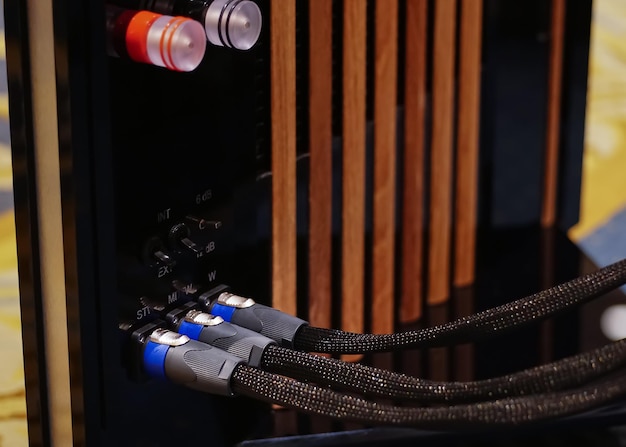 Feche o cabo das tomadas de áudio conectado aos alto-falantes de última geração. Cabo de áudio XLR.