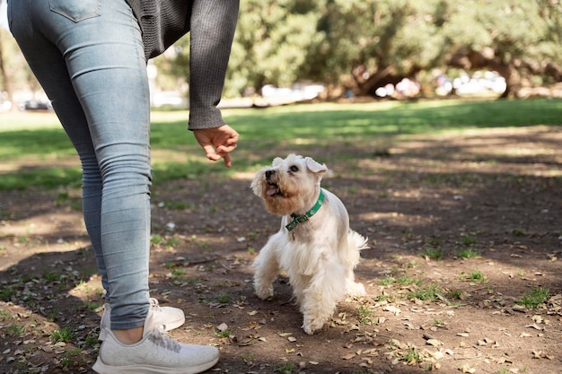 Foto feche o dono e o cachorro ao ar livre