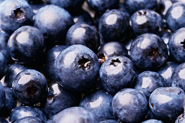 feche o fundo de mirtilo fresco. fruta de baga azul