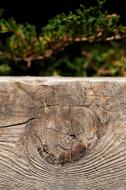 Foto feche o fundo de textura de madeira