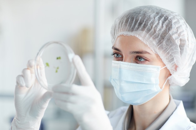 Foto feche o retrato de uma jovem cientista segurando uma placa de petri enquanto estuda amostras de plantas no laboratório de biotecnologia, copie o espaço