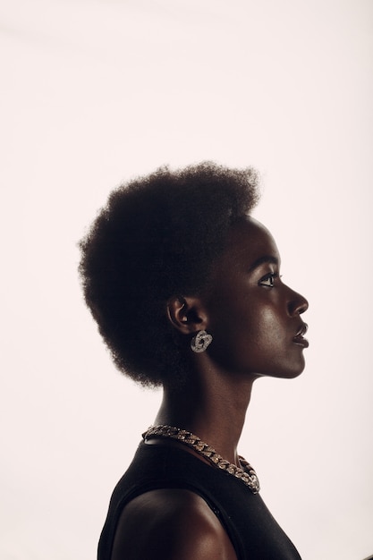 Feche o retrato do perfil vertical de uma mulher afro-americana com penteado afro