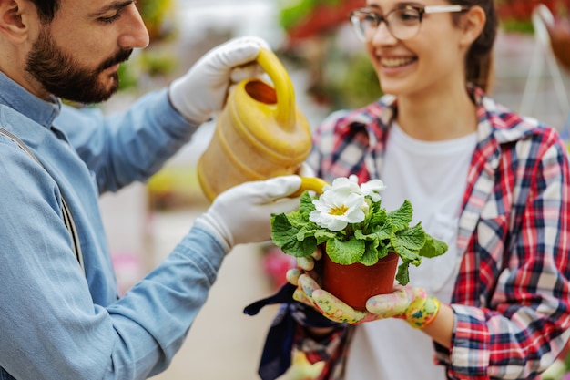 Feche os empresários pf cuidando das flores. Mulher segurando flores enquanto homem rega.