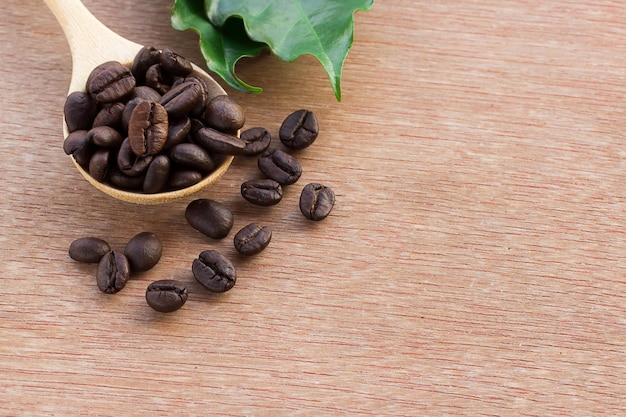 Feche os grãos de café na colher de madeira e folha verde fresca