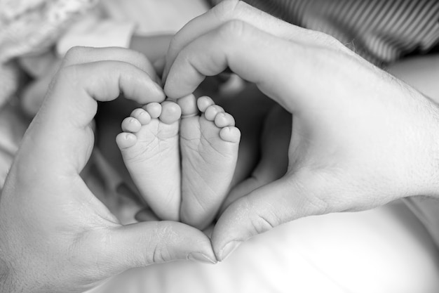 Fechem os pés do recém-nascido nas mãos da mãe. Coração. Mamãe e seu filho. Uma bela imagem conceitual da maternidade.