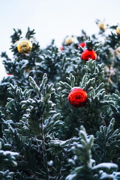 Fecho das bolas na árvore de neve de natal Decorações de Natal Conceito de Ano Novo Feriados de inverno