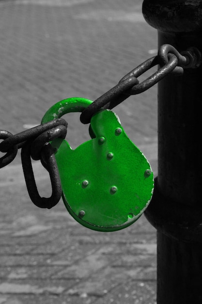 Foto fecho de cor verde isolado em preto e branco ao redor