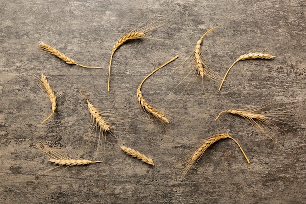 Fecho de espigas de trigo e sementes em fundo colorido Conceito de tempo de colheita de plantas de cereais naturais Vista superior crise do trigo no mundo plano leigo