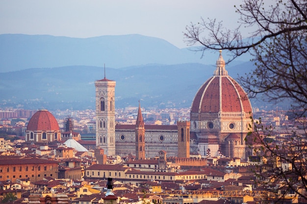 Feder. Blick auf Florenz bei Sonnenaufgang vom Aussichtspunkt aus