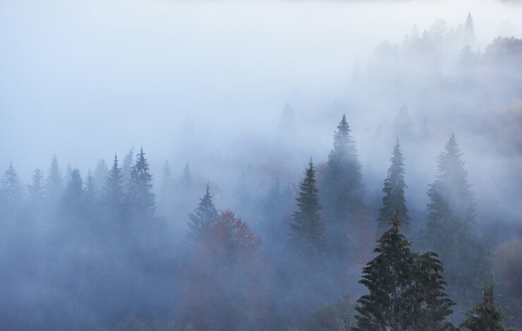 Foto feen sonnenaufgang in der bergwaldlandschaft am morgen.