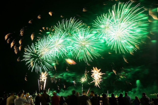 Feiertagsfeuerwerk nahe dem Fluss auf dem Hintergrund des schwarzen Himmels